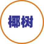 椰樹(shù)